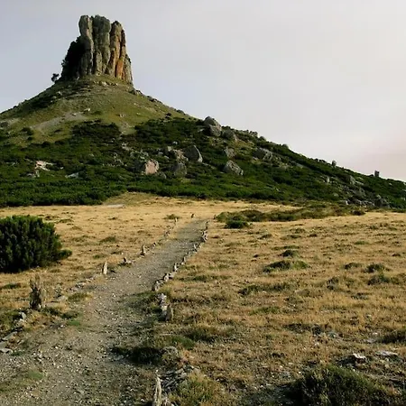 Villa Settimia A 50 Mt Dalla Spiaggia!