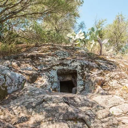 Settimia A 50 Mt Dalla Spiaggia! Àrbatax