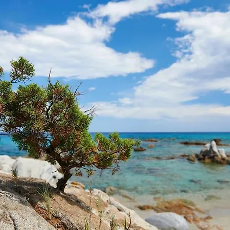 ヴィラ Settimia A 50 Mt Dalla Spiaggia!
