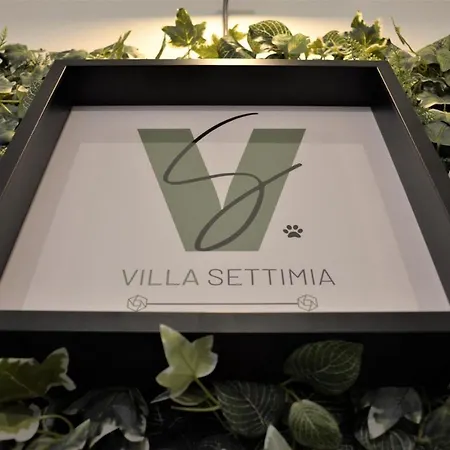 Settimia A 50 Mt Dalla Spiaggia! Вилла Арбатакс